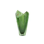 Bình Bông Mikado CAESAR CRYSTAL BOHEMIAE - Ảnh 4